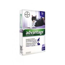 Advantage 80 Grand Chat/Lapin 0,4Ml 6