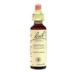 Bach Gentian 71712
