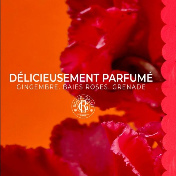 Déodorant Stick - Gingembre Rouge - 50 g