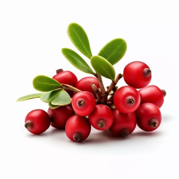 Busserole Phytostandard - 500 ml