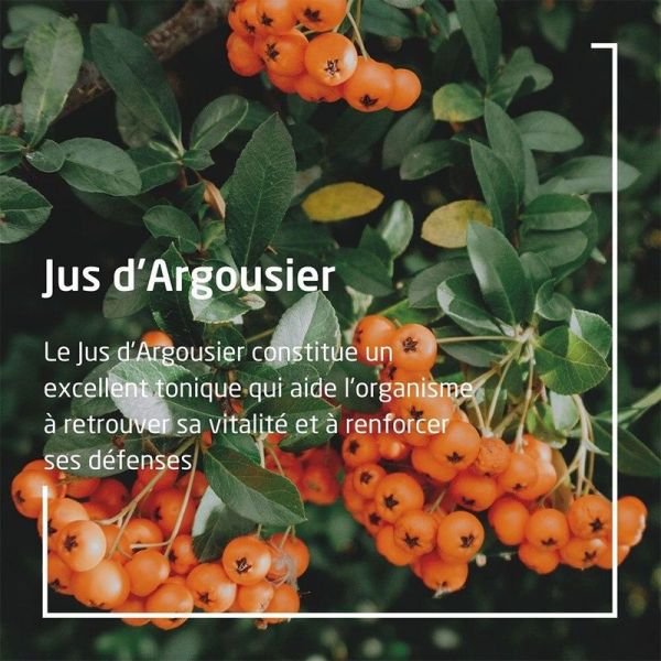 Jus d'Argousier Bio - 250 ml
