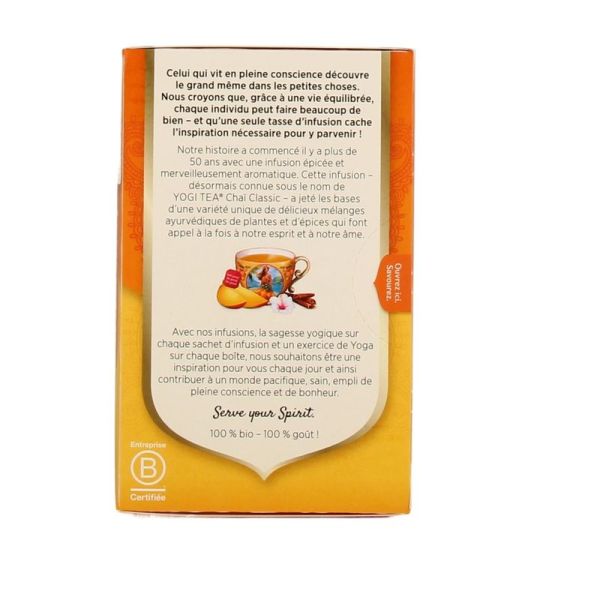 Chaï Mangue BIO - 17 sachets