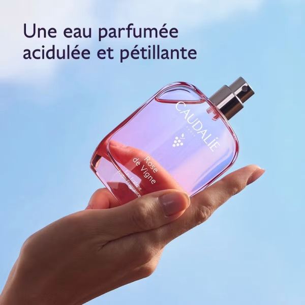 Coffret Eau Fraîche - Thé des Vignes