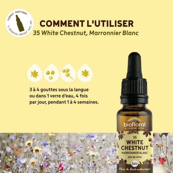 Fleur de Bach n degrés35 White Chestnut, Marronnier Blanc - Bio Demeter - 20 ml