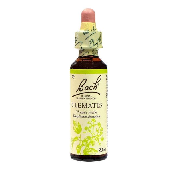 Bach Clematis 71709