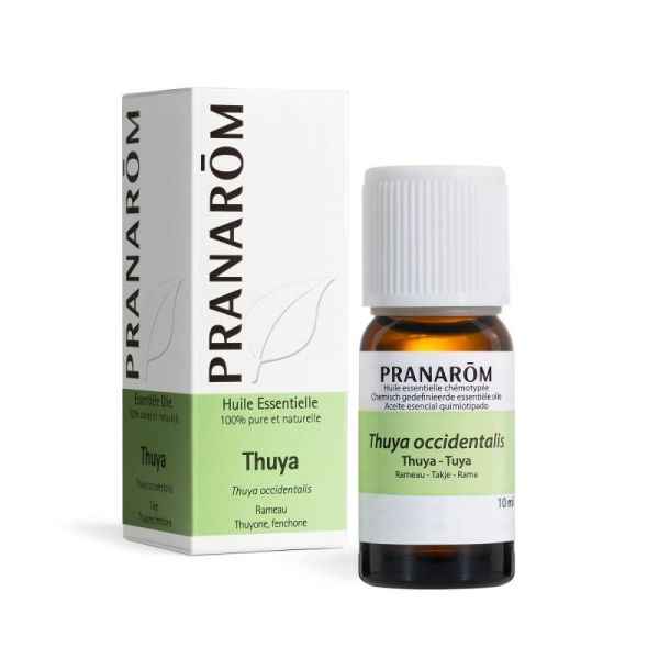 Pranarom He Thuya Rameau 10Mlderef