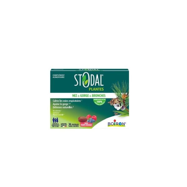 Stodal Plantes Pastilles Nez & Gorge & Bronches - Fruits Rouges - 36 pastilles