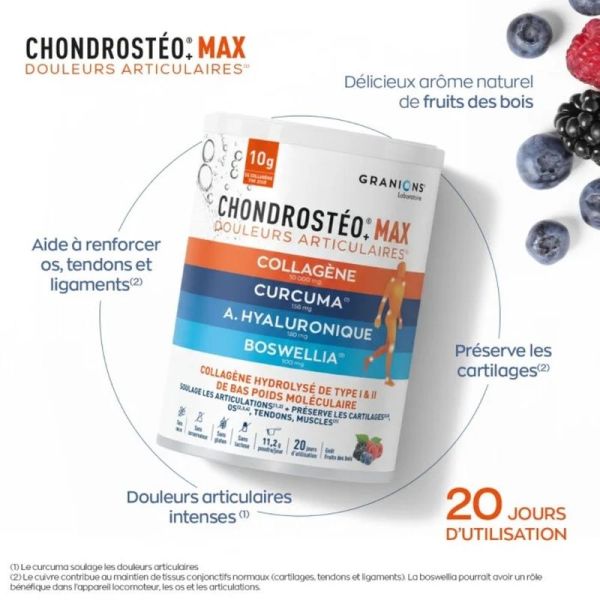 Chondrostéo MAX collagène Poudre - 225 g