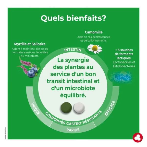 IntestiNorm