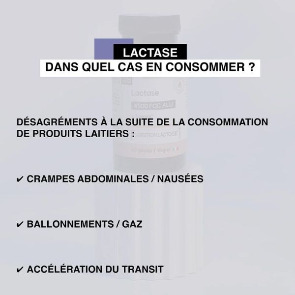 Lactase Tolerase L en gélules - 60 gélules