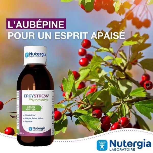 Ergystress Phytominéral - 250 ml