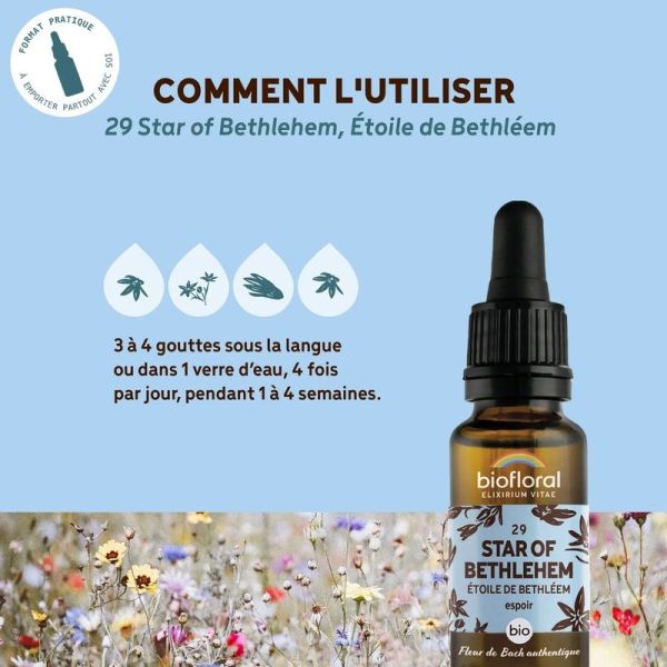 Fleur de Bach n 29 Star of Bethlehem, Etoile de Bethleem - Bio Demeter - 20 ml