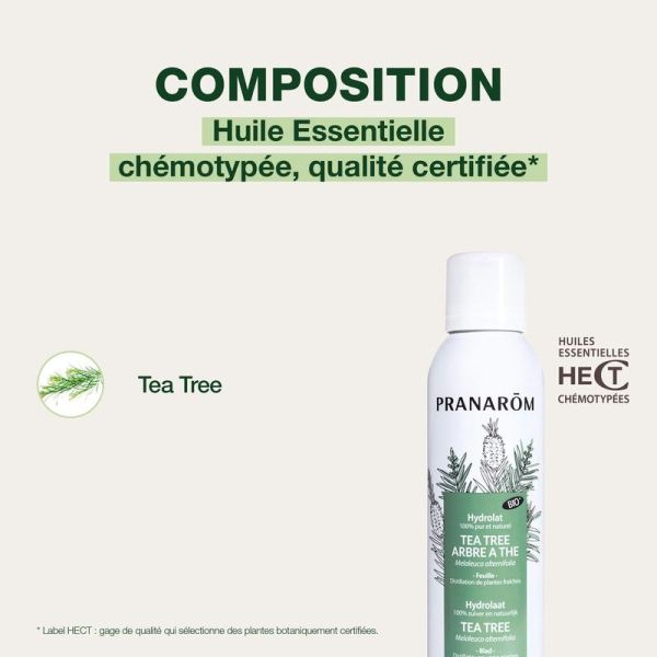 Hydrolat de Tea Tree - Arbre à thé - Bio - 150 ml