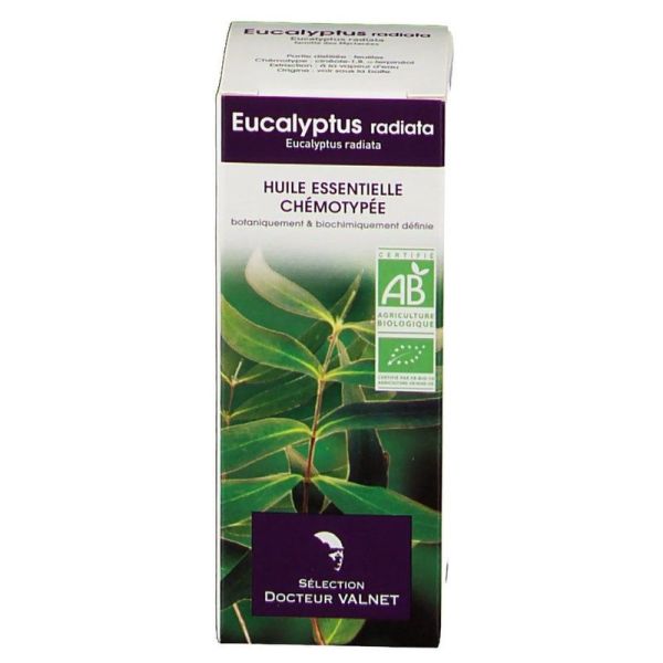 Huile essentielle bio Eucalyptus radiata - 10 ml
