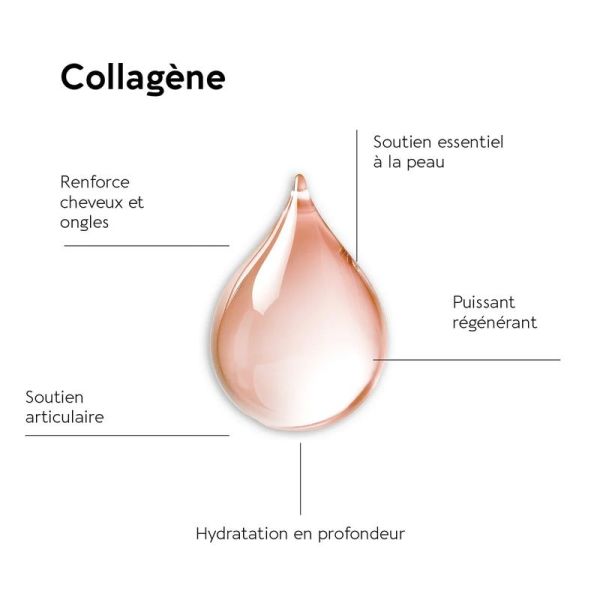 COLLAGEN MAX MARIN CACAO 10 G - 260 g