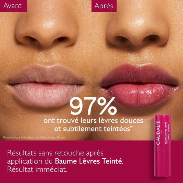 Baume Lèvres Teinté Vinotherapist - 4,5 g