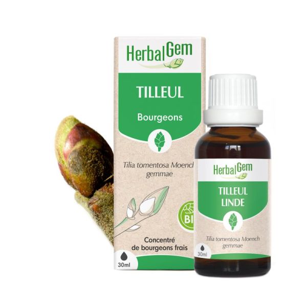 Herbalgem Macerat M Conc Tilleul Deref