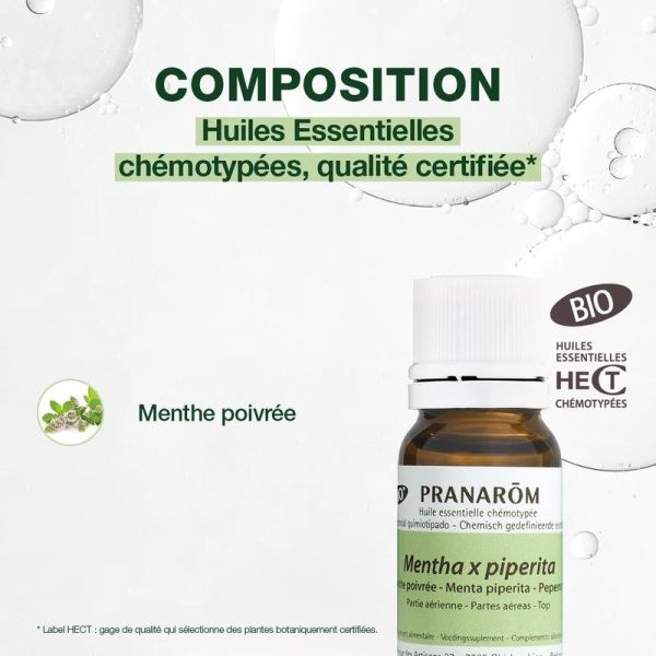 Huile Essentielle de Menthe poivrée - Bio - 10 ml