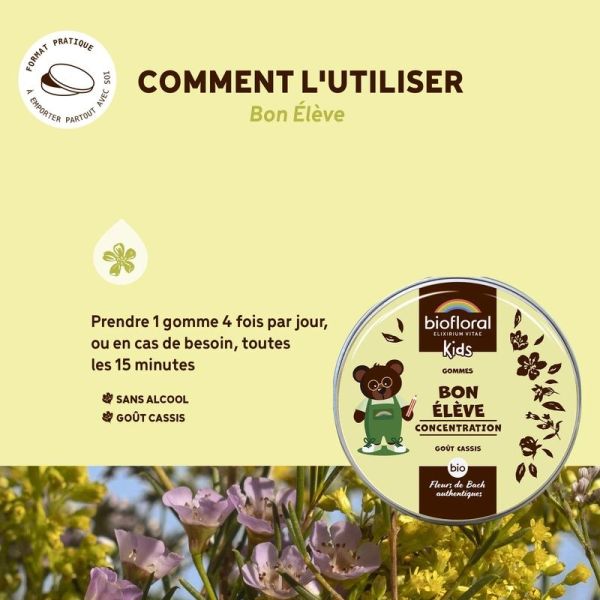 Bon élève gommes - Bio - 45 g