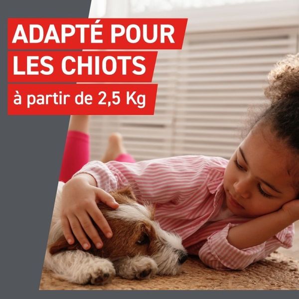 Wormer Vermifuge Chien - 2 comprimes