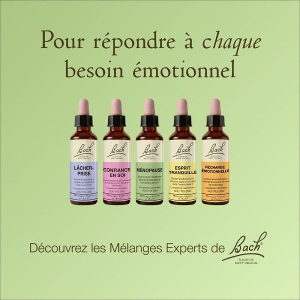 Mélanges Experts de Bach Original - 20 ml