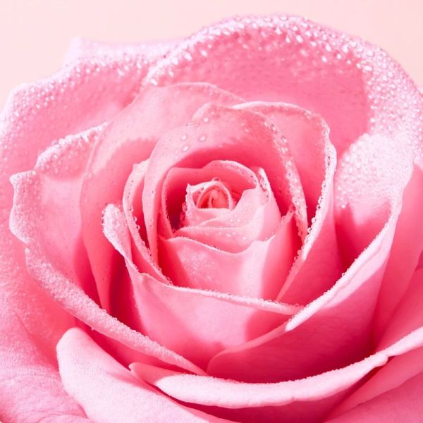 Eau micellaire démaquillante apaisante Very Rose - 750 ml