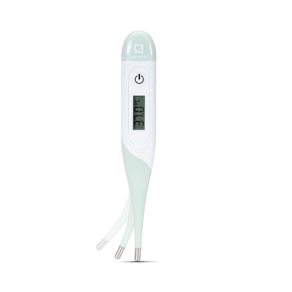 Thermometre Digital