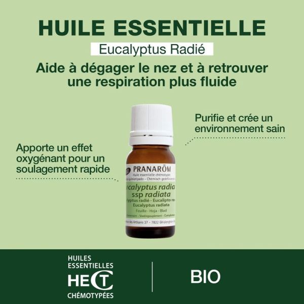 Huile Essentielle d'Eucalyptus radié - Bio - 10 ml