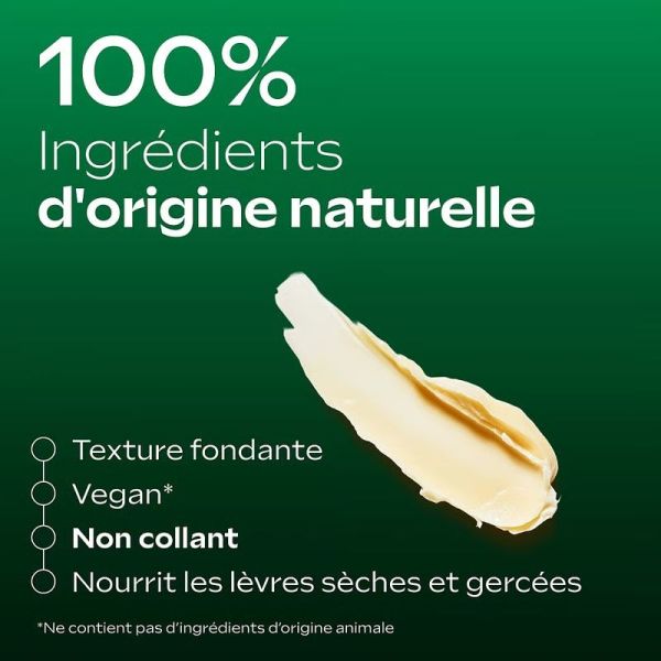 Stick Lèvres Skin Food - 2 x 4,8 g
