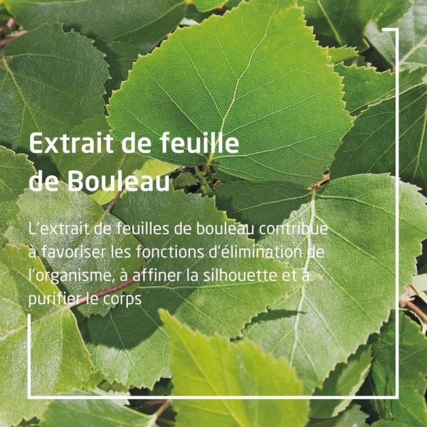 Huile de Massage Minceur BOULEAU - 2 flacons de 100 ml
