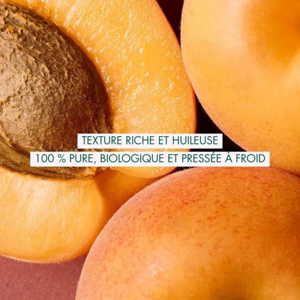 Huile de Noyaux d'Abricot Bio - Visage et Corps - Tous Types de Peaux, 50ml - 50 ml