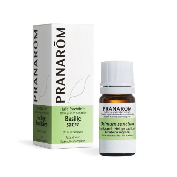 Huile Essentielle de Basilic sacré - 5 ml