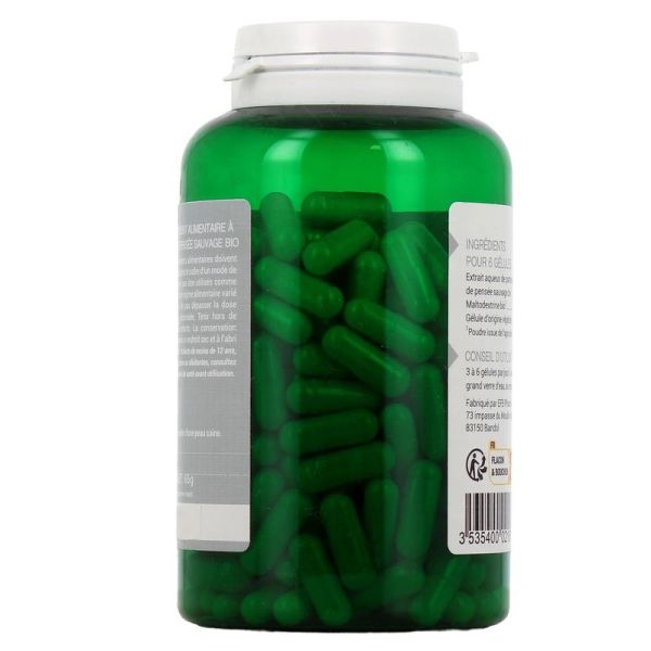 Go Phyto Pensée Sauvage Bio - 200 gélules