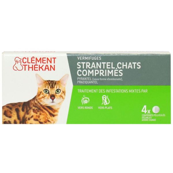 Ct Strantel Chat Cp 4
