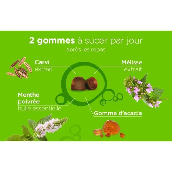 Pate suisse Digestion - DUO - 80 gommes