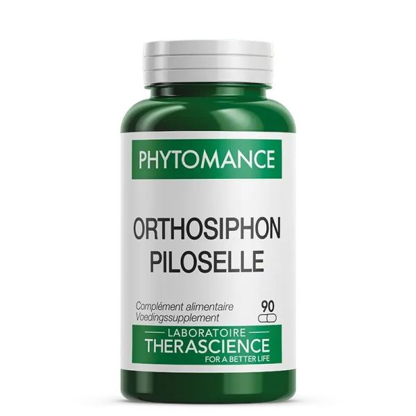 Orthosiphon Piloselle - 90 gélules