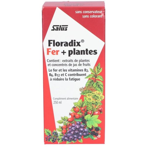 Floradix fer + plantes - 250 ml