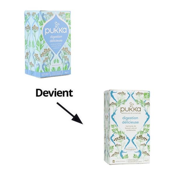 Digestion Delicieuse Bio - 20 sachets