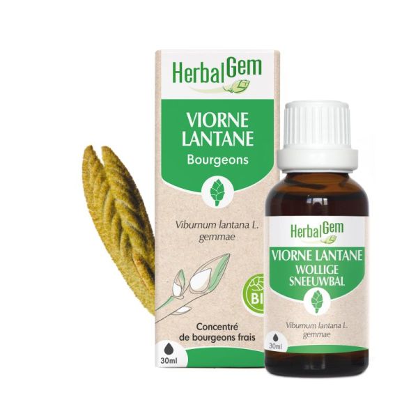 Herbalgem Viorne Bio 30Ml