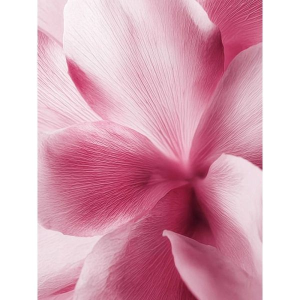 Déodorant Solide Parfumé - SAKURA - 50 g