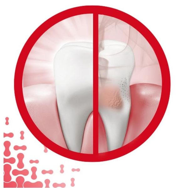Dentifrice Gencives + Sensibilité Haleine Fraîcheur intense - 2 x 75 ml