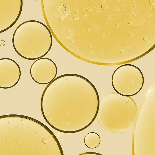 Huile d'Argan Bio - Visage, Corps et Cheveux - Peaux Sèches et Matures - 50 ml