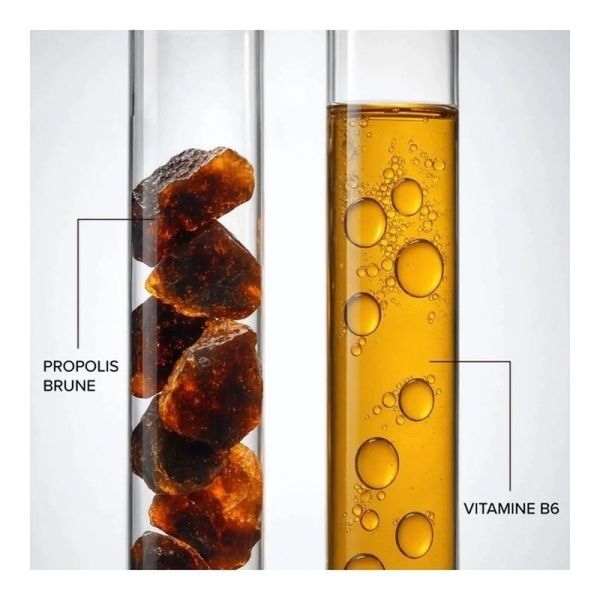 Arkoroyal Propolis 1000 mg - 10 ampoules de 10 ml