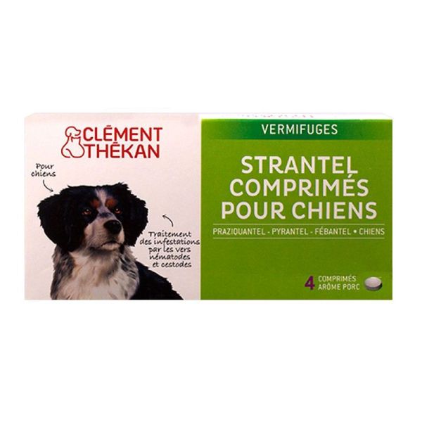 Ct Strantel Chien L Cp4
