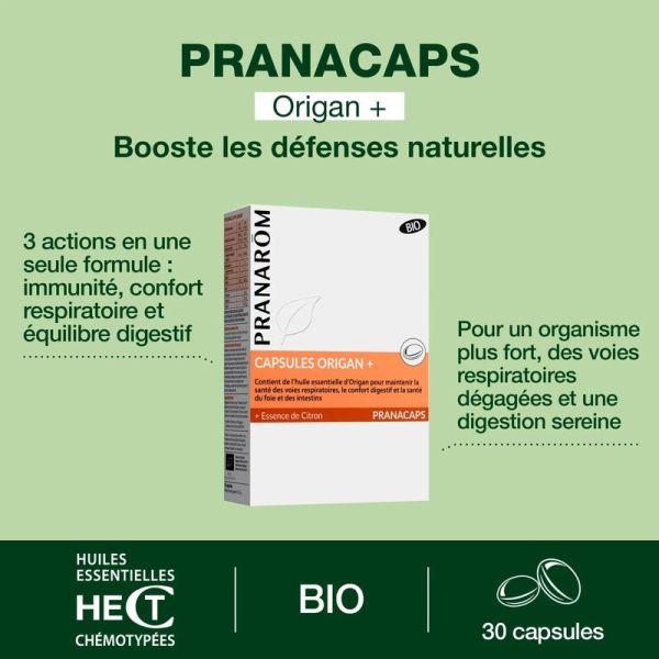 Capsules Origan + - Bio - 30 capsules
