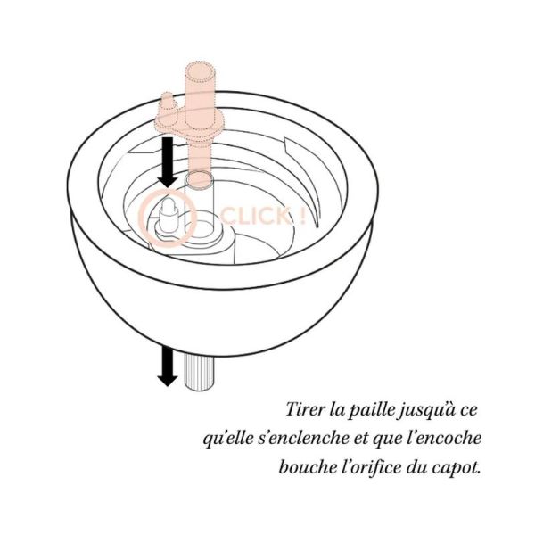 Tasse a paille lestee - Graouu - 240 ml