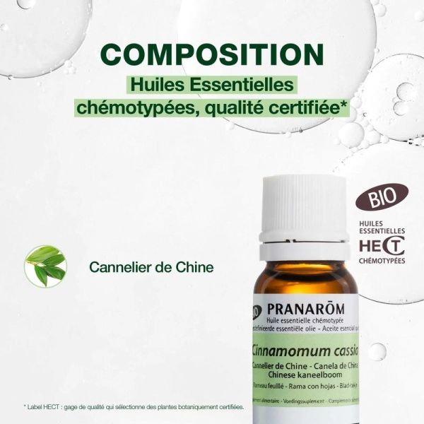 Huile Essentielle de Cannelier de Chine - Bio - 10 ml