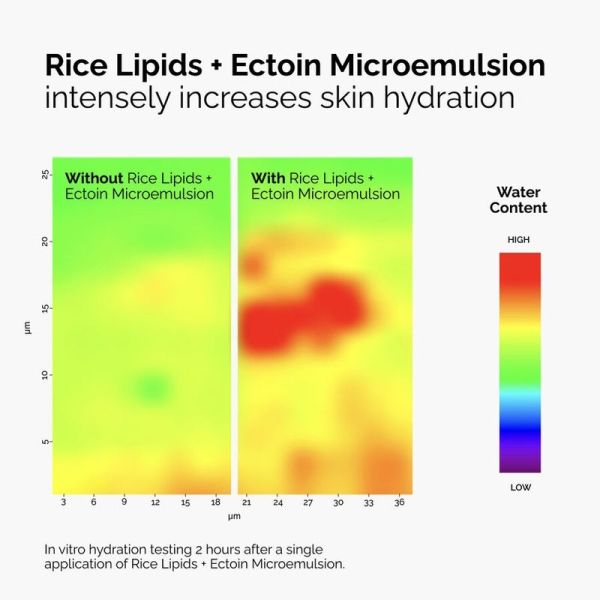 Microemulsion de Lipides de Riz + Ectoïne - 60 ml