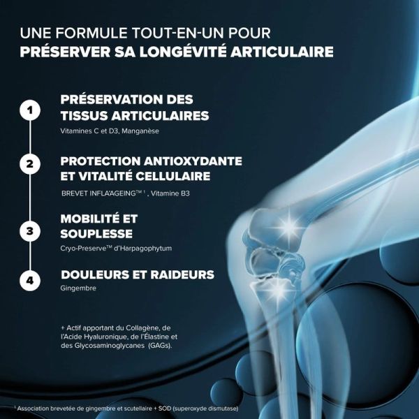 Santé Longévité Capital Articulaire - 60 gélules