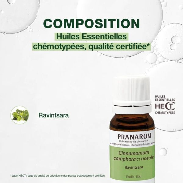 Huile Essentielle de Ravintsara - 10 ml